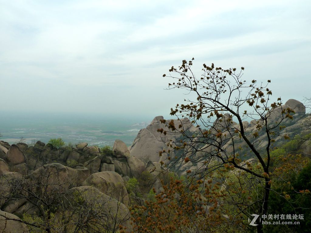 嵖岈山、郁金香清明踏青一日