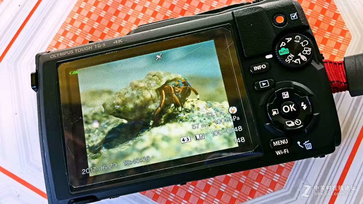 奥林巴斯TG5水下强悍视觉-附带奥林巴斯TG5功能解剖！