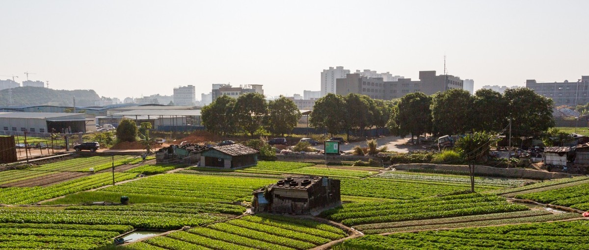 5D3——宽银幕比例   2.15：1