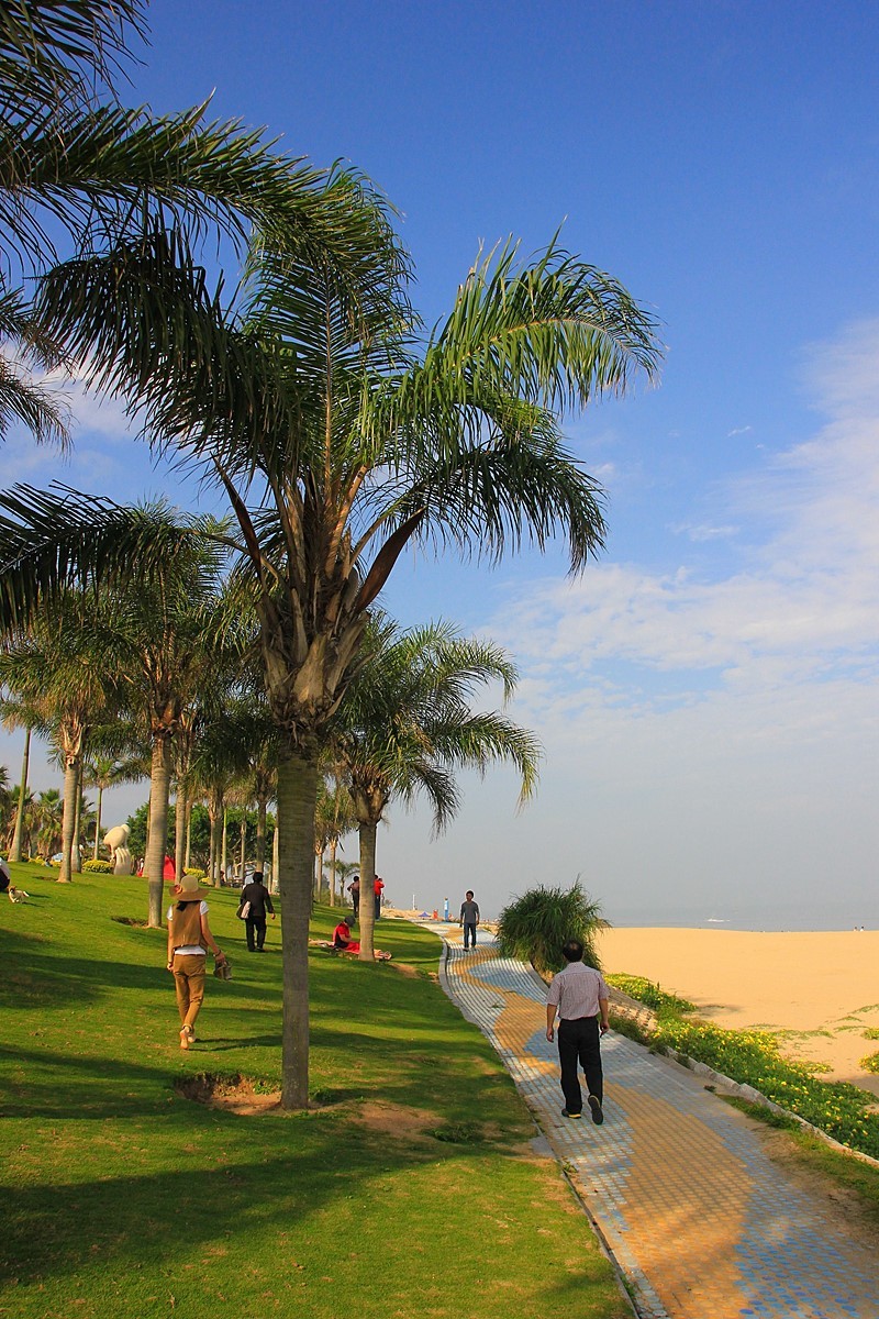 厦门海滨大道掠影