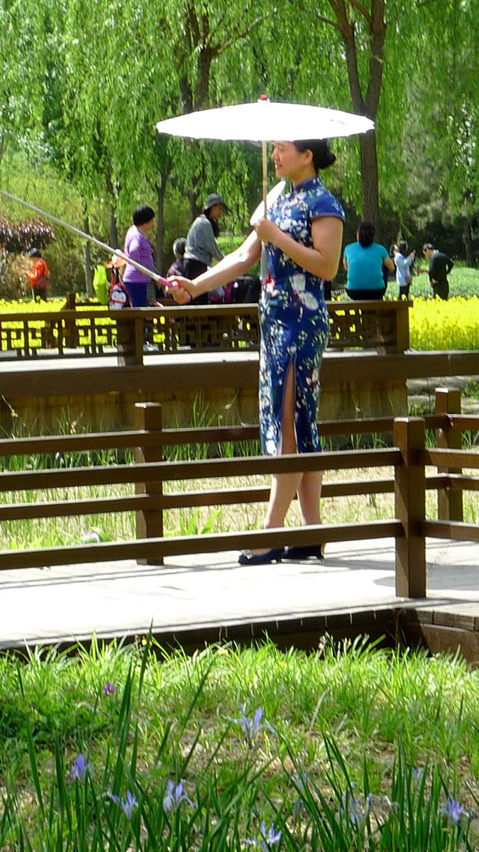 油菜花田喜气洋洋