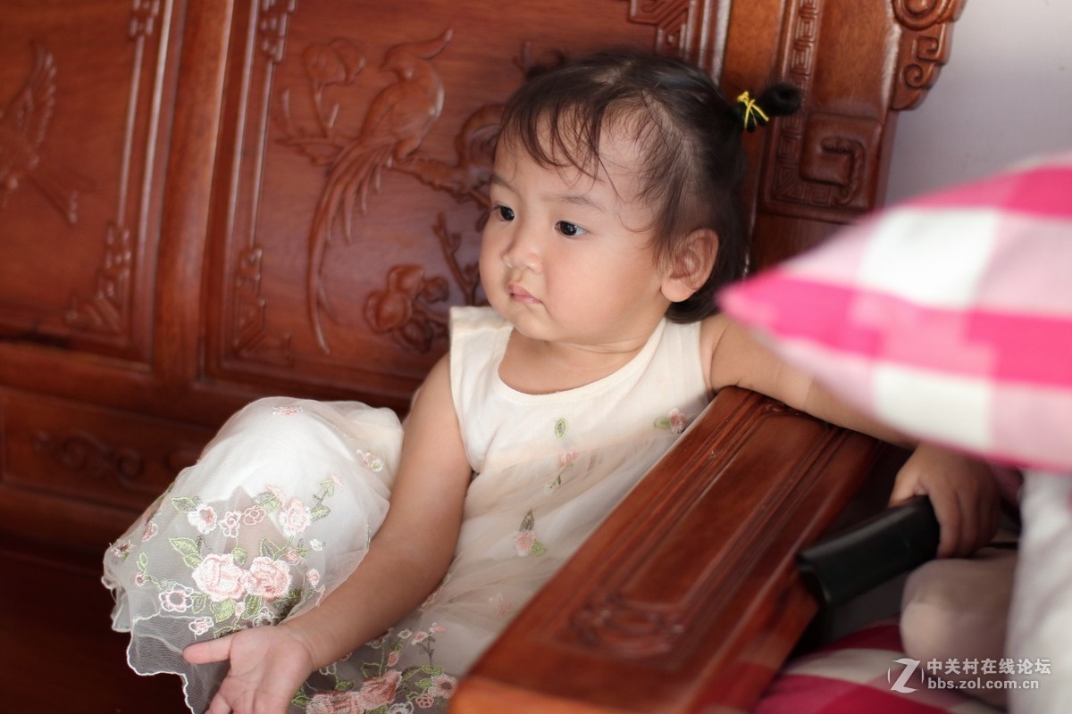 国产镜头：永诺50mmF1.4试镜