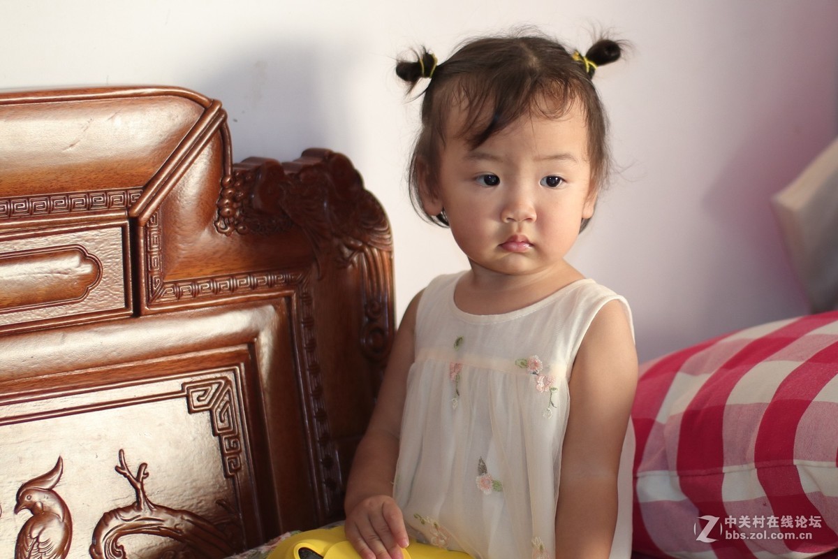 国产镜头——永诺50mmF1.4试镜