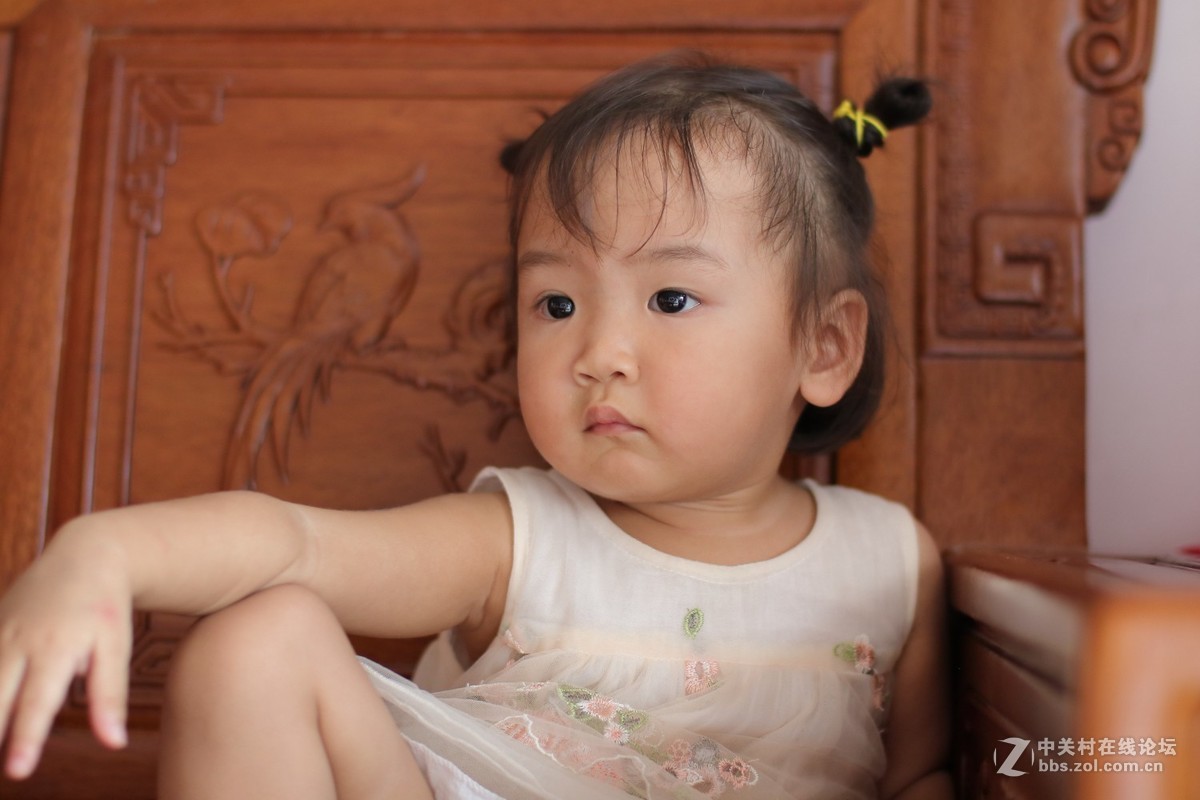 国产镜头——永诺50mmF1.4试镜