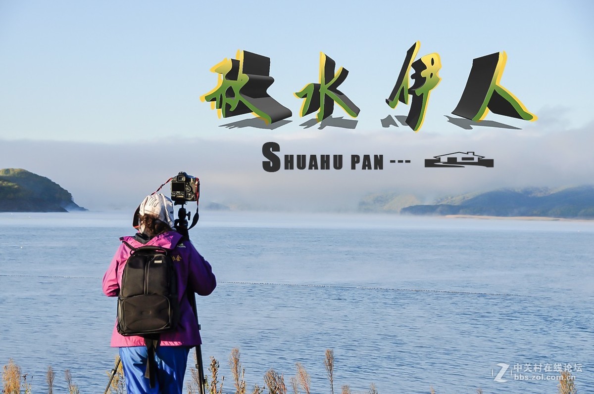 秋水伊人