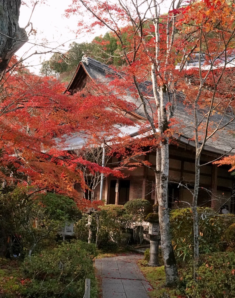 日本关西赏枫游2京都西明寺