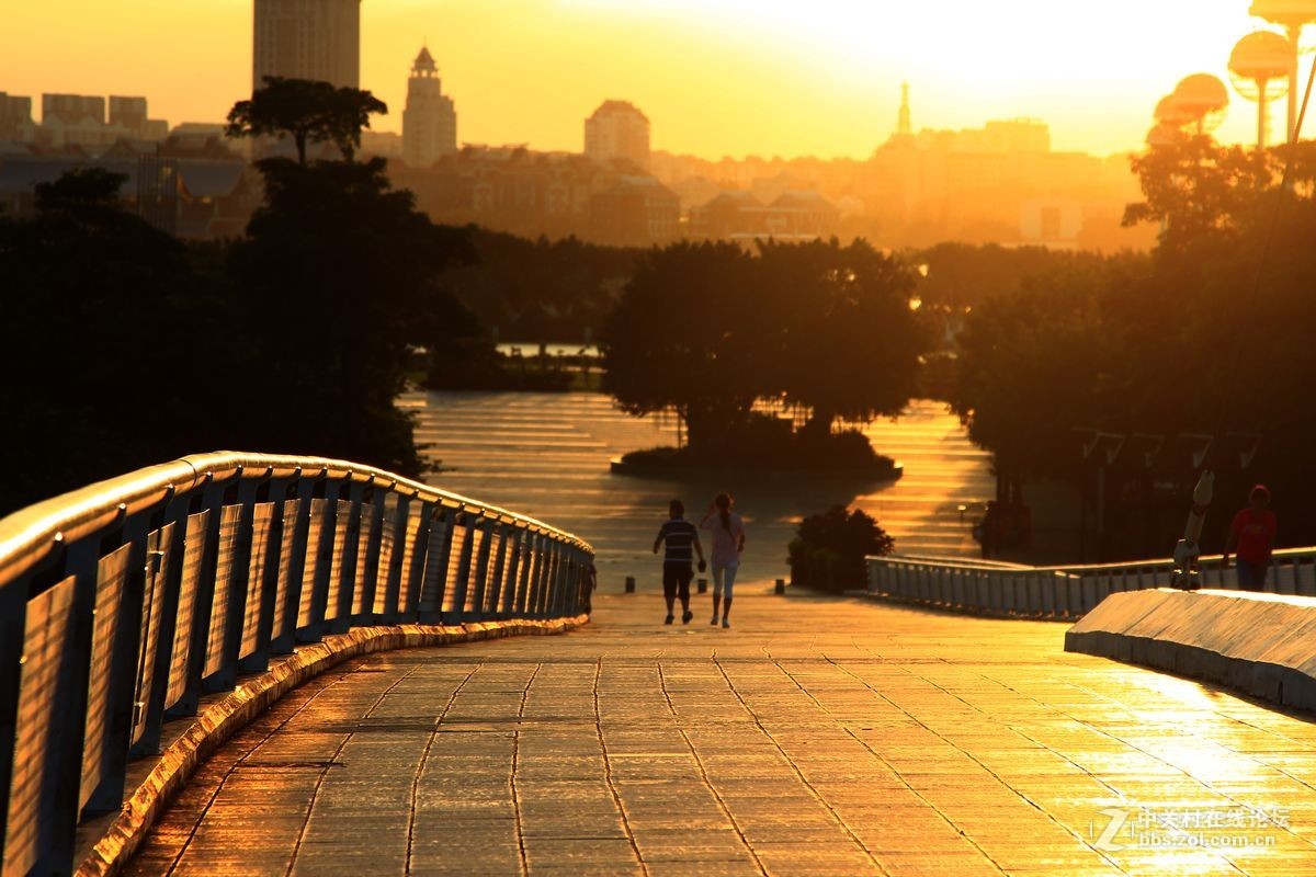 美丽的桥上顶光朝霞摄影