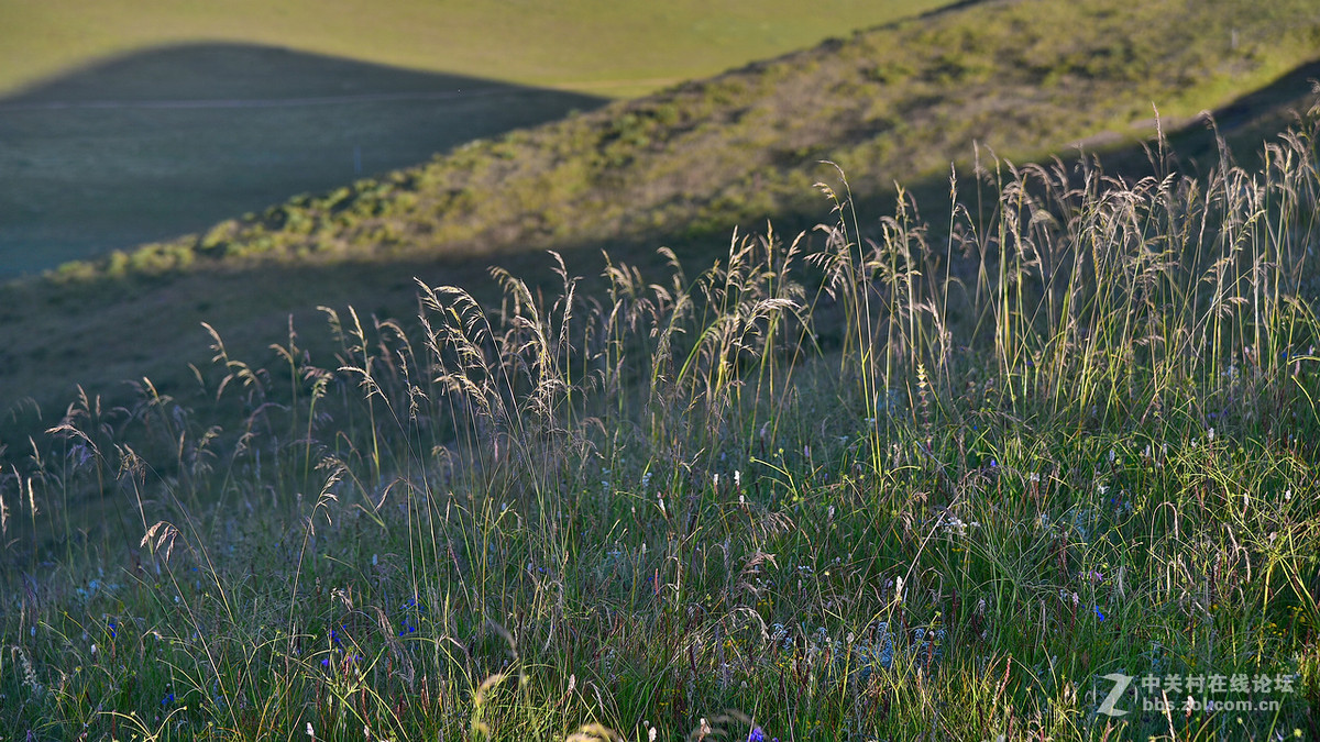 750（24-120）套机风景照