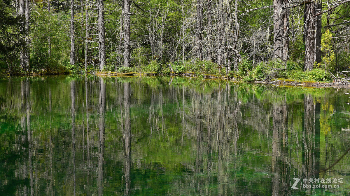 750（24-120）套机风景照