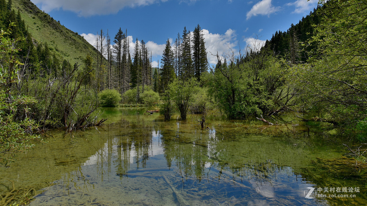 750（24-120）套机风景照