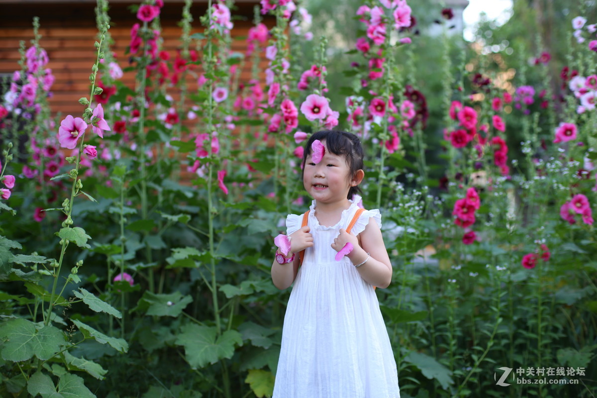 蔡司50 1.4人像初试