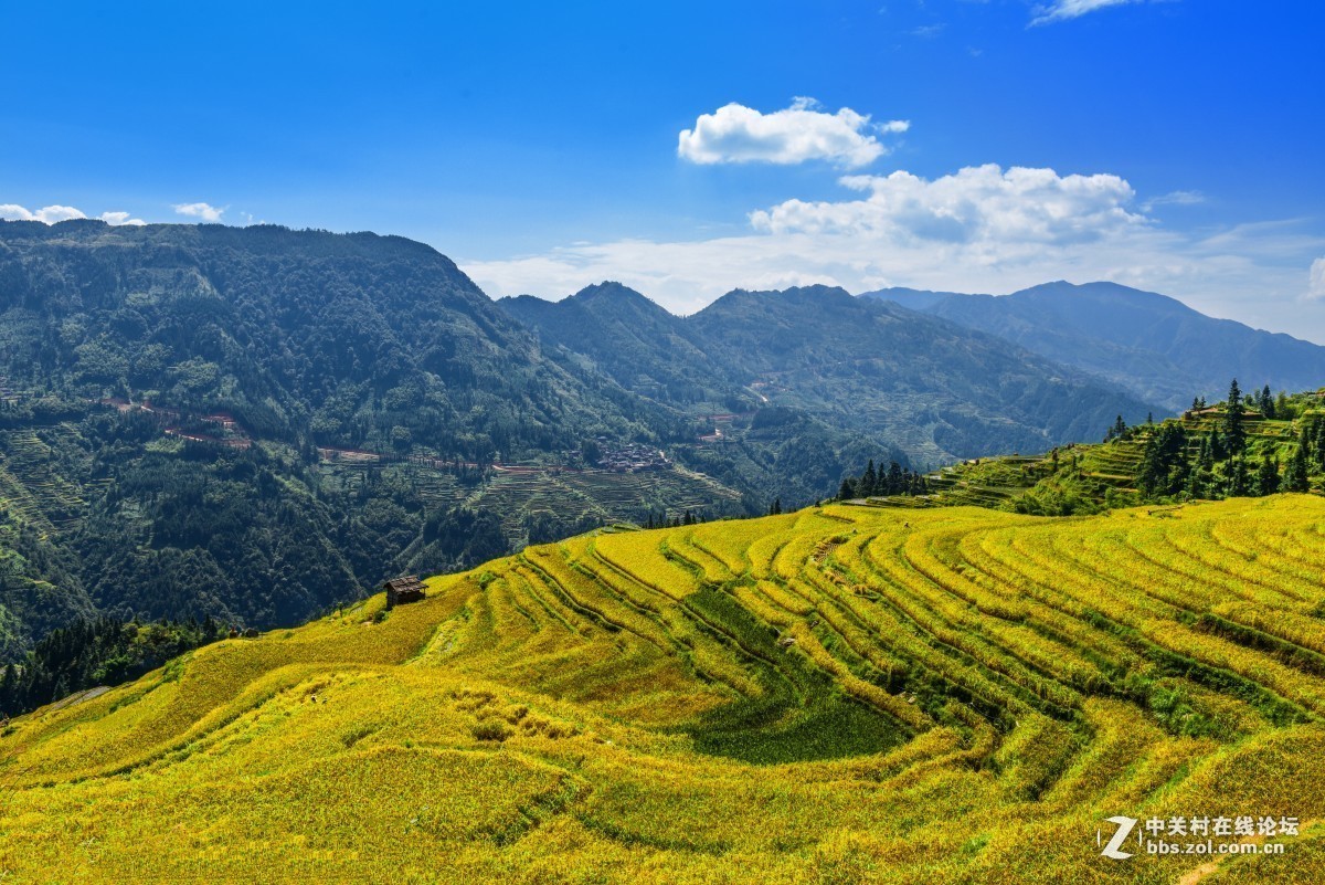 #版主坐堂#小五星空(中国)2016年10月精品荟萃