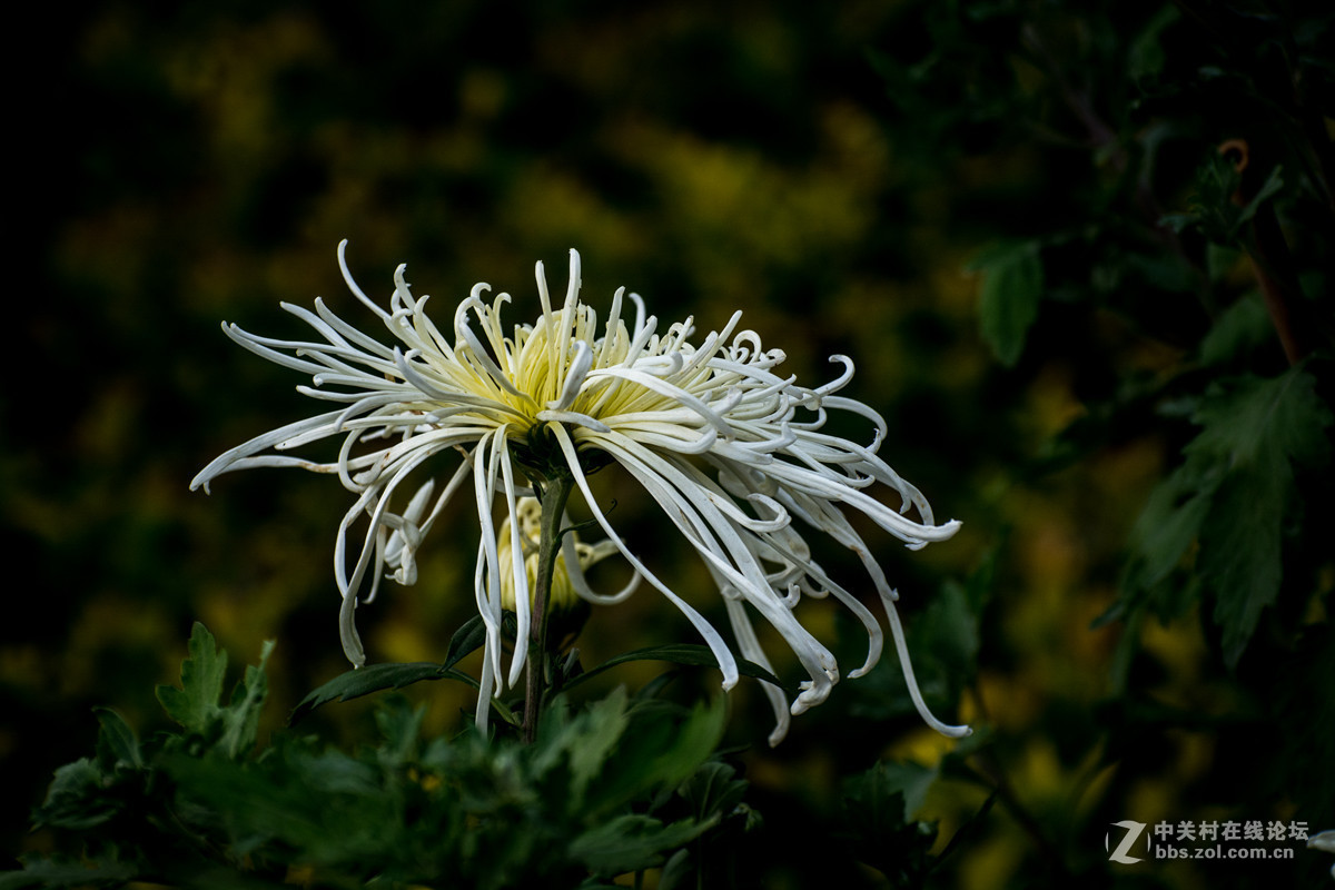 #版主坐堂#小五星空(中国)2016年10月精品荟萃