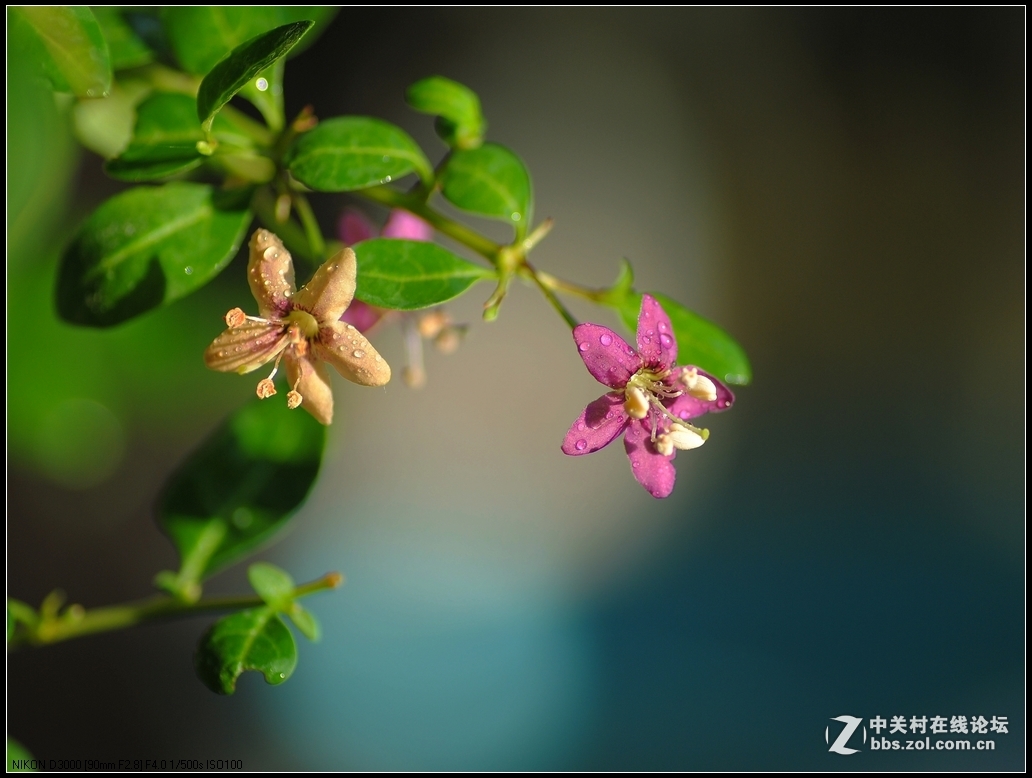 #版主坐堂#小五星空(中国)2016年10月精品荟萃