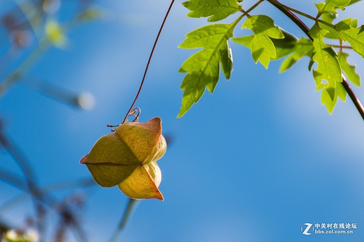 #版主坐堂#小五星空(中国)2016年10月精品荟萃