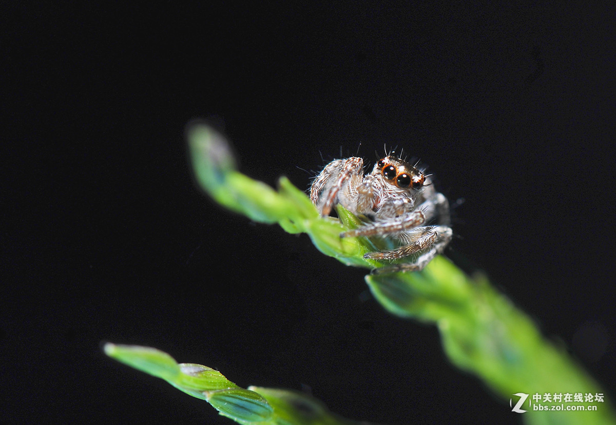 #版主坐堂#小五星空(中国)2016年10月精品荟萃