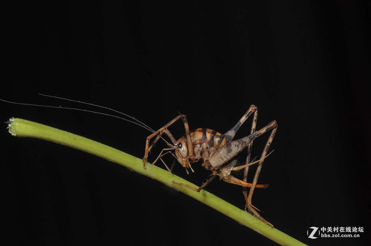 #版主坐堂#小五星空(中国)2016年10月精品荟萃