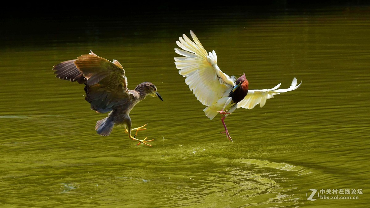 #版主坐堂#小五星空(中国)2016年10月精品荟萃