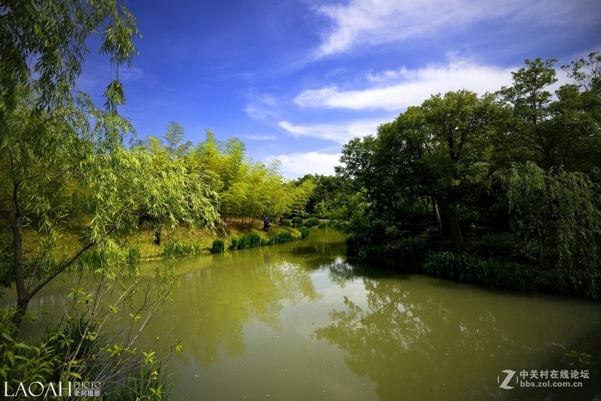 扬州瘦西湖速写——销假帖