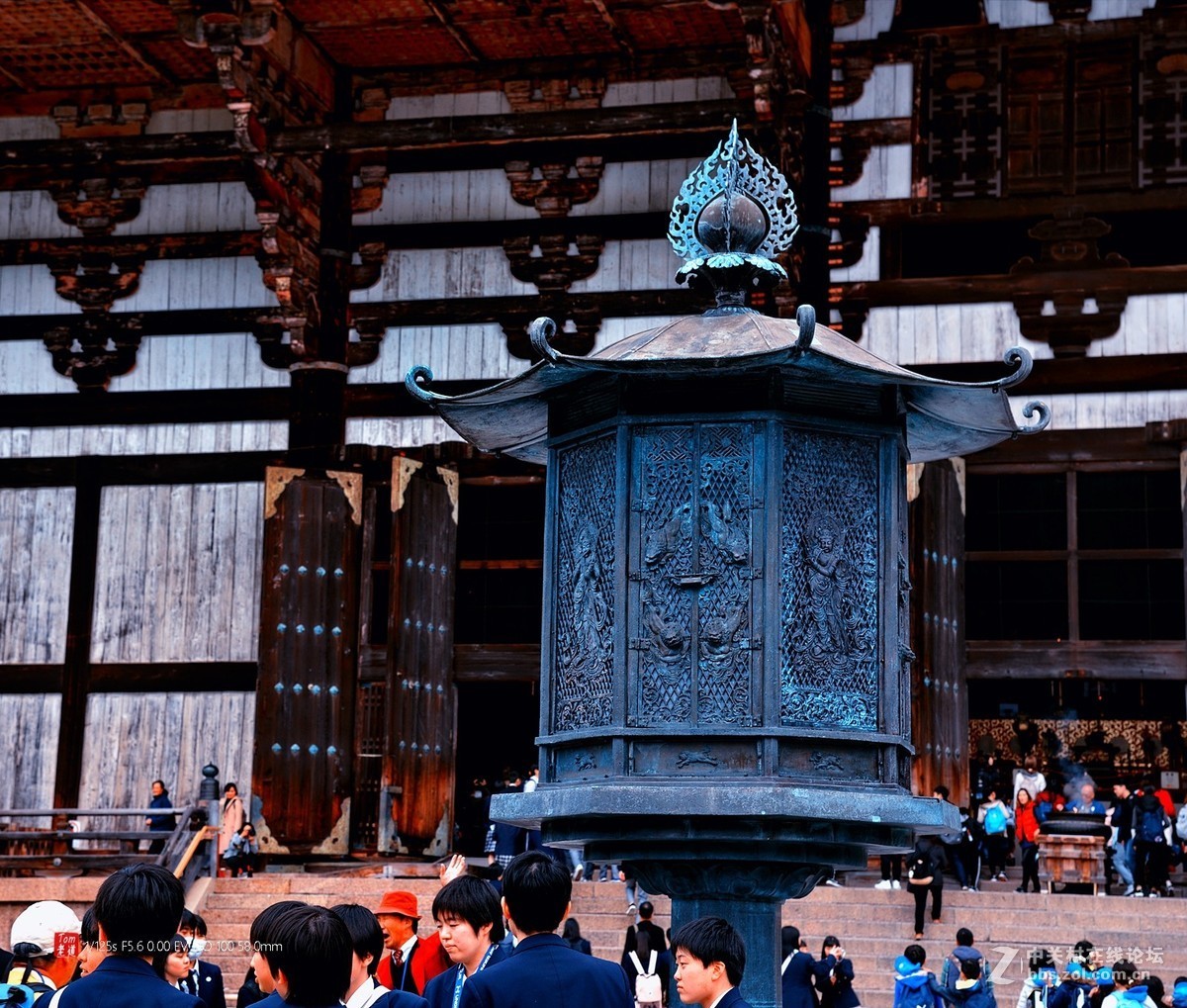 日本奈良东大寺与神鹿公园