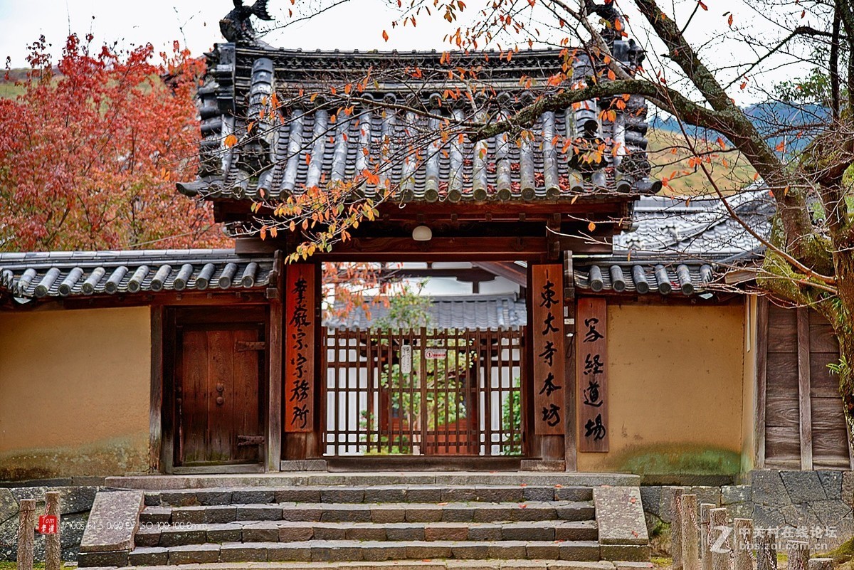 日本奈良东大寺与神鹿公园