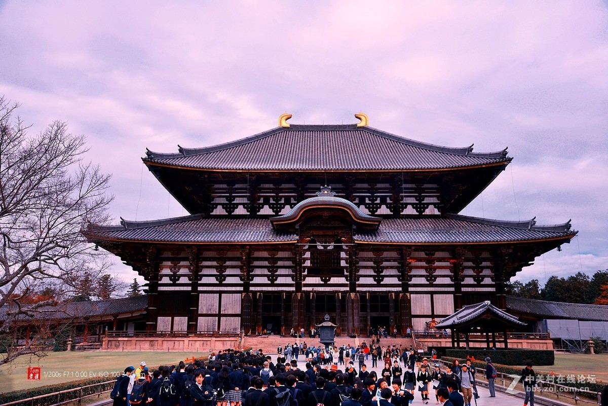 日本奈良东大寺与神鹿公园