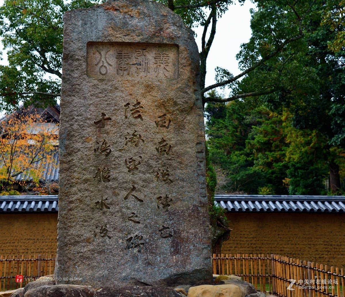 日本奈良东大寺与神鹿公园