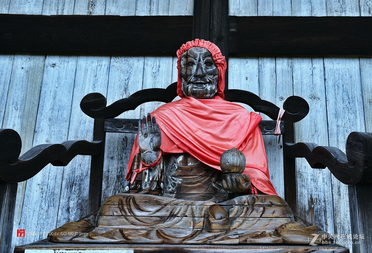 日本奈良东大寺与神鹿公园