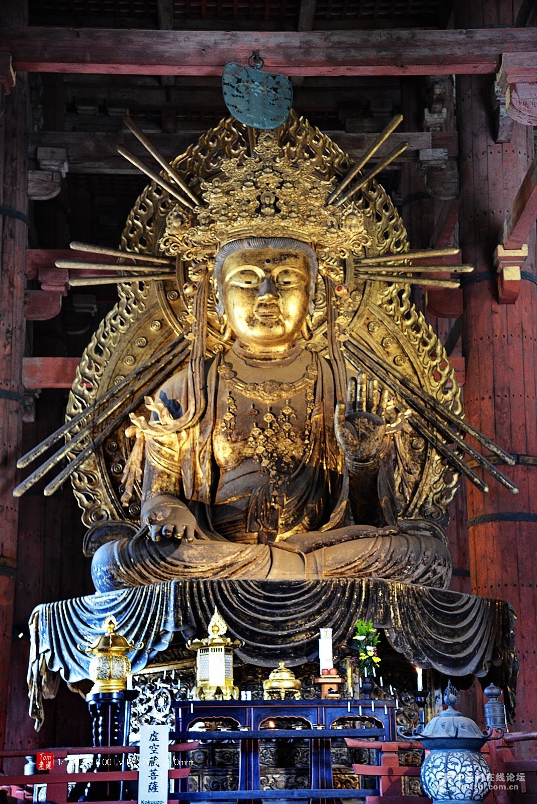 日本奈良东大寺与神鹿公园