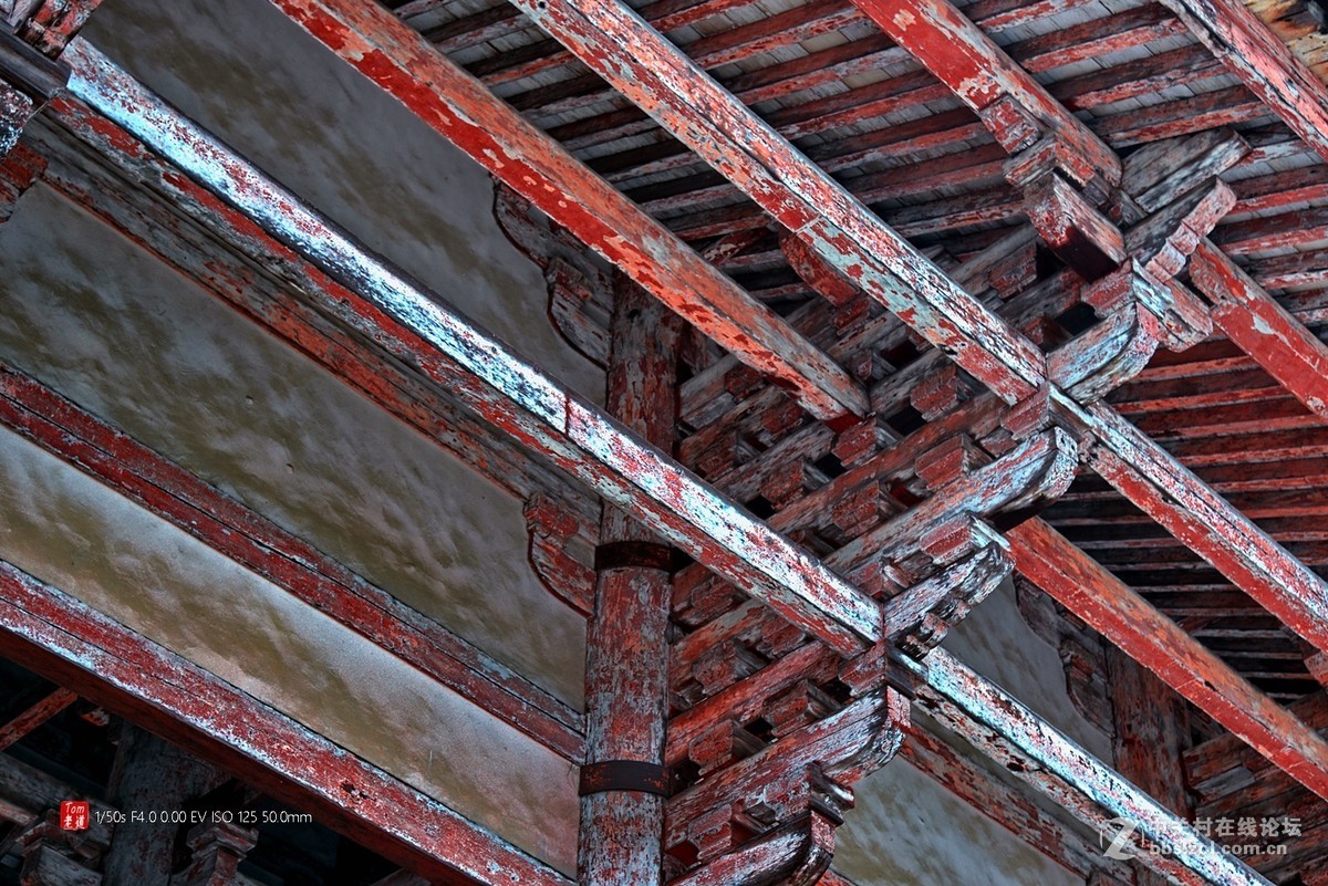 日本奈良东大寺与神鹿公园