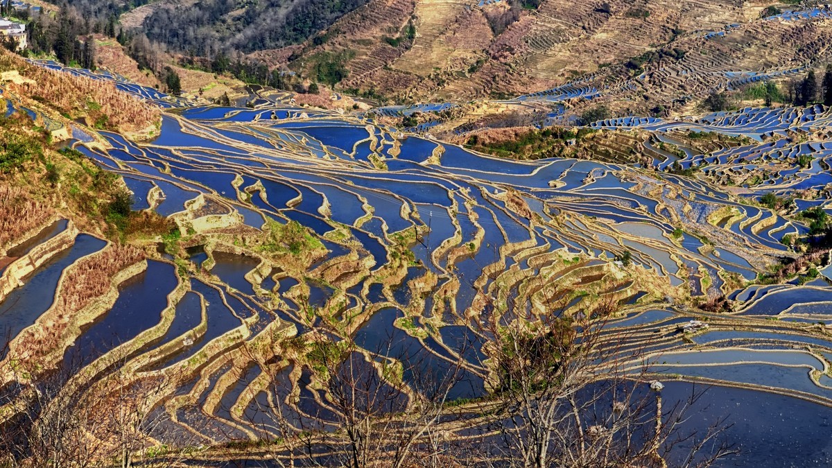 云南红河州元江那诺梯田