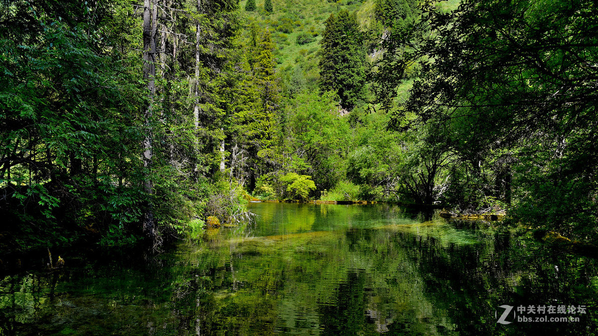 750（24-120）套机风景照
