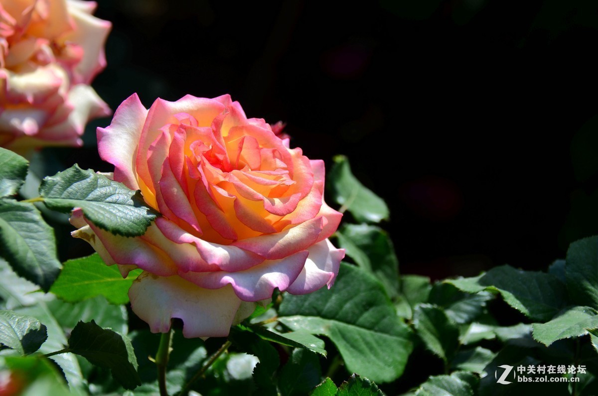 #版主坐堂#小五星空(中国)2016年10月精品荟萃