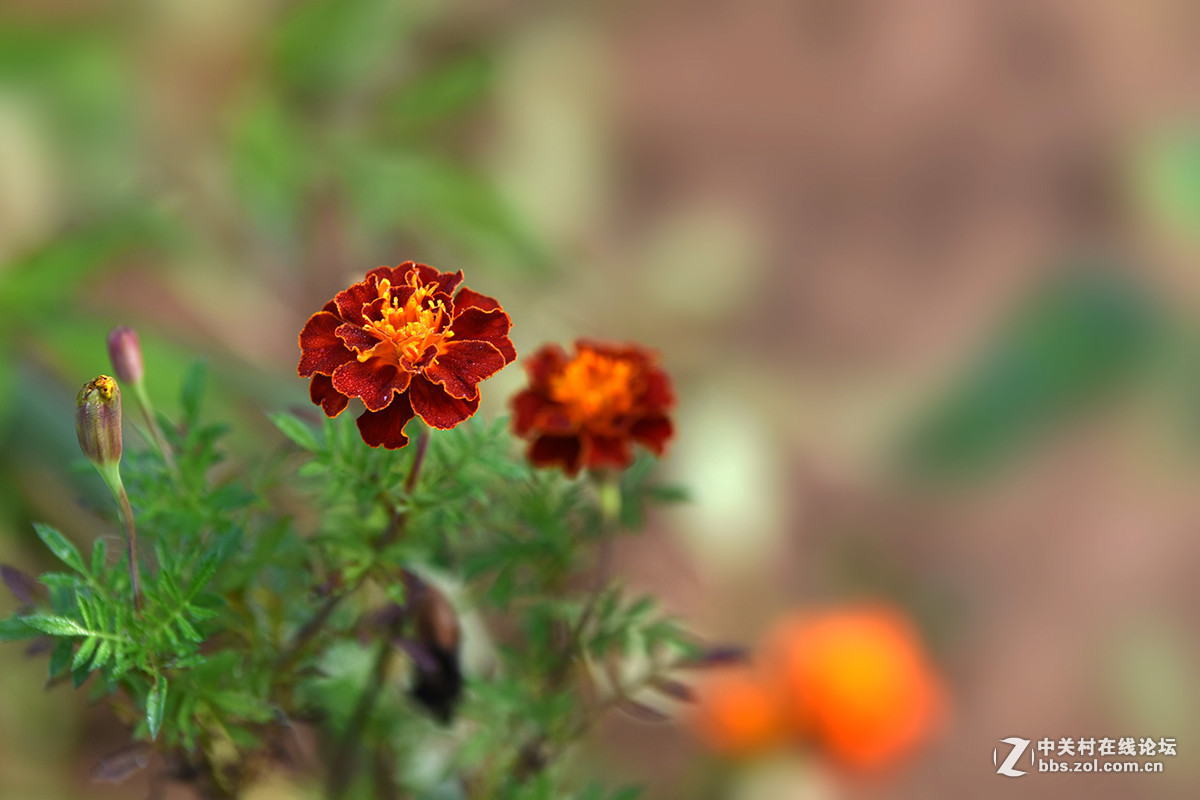 #版主坐堂#小五星空(中国)2016年10月精品荟萃