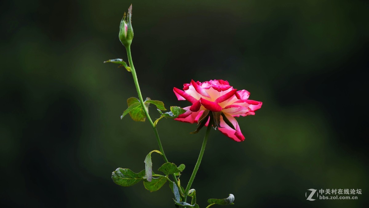 #版主坐堂#小五星空(中国)2016年10月精品荟萃