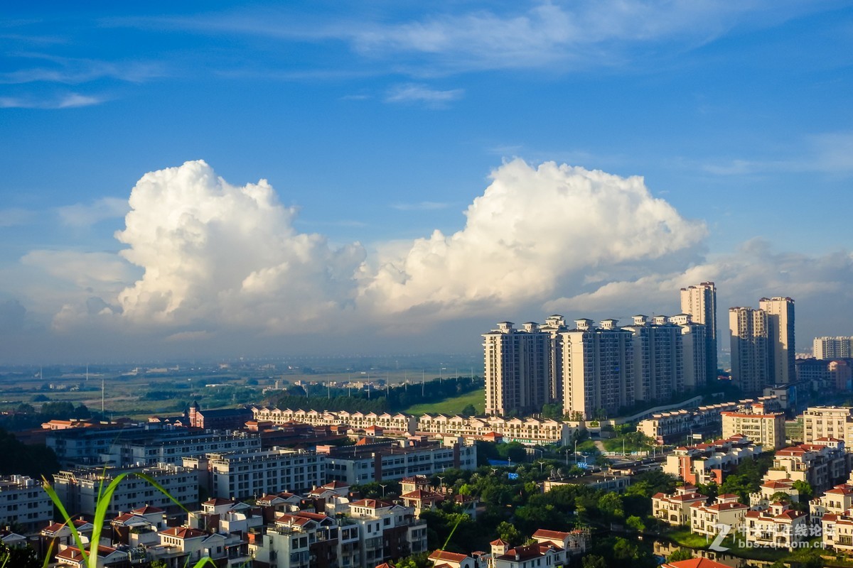 尼康D900S——小景