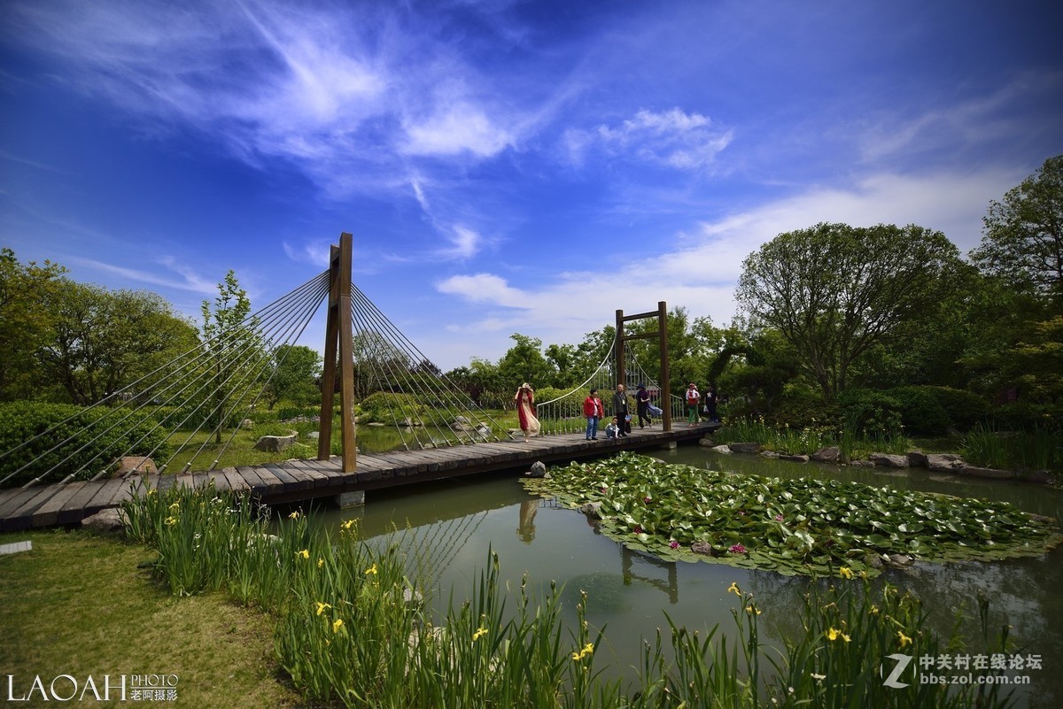 扬州瘦西湖速写——销假帖