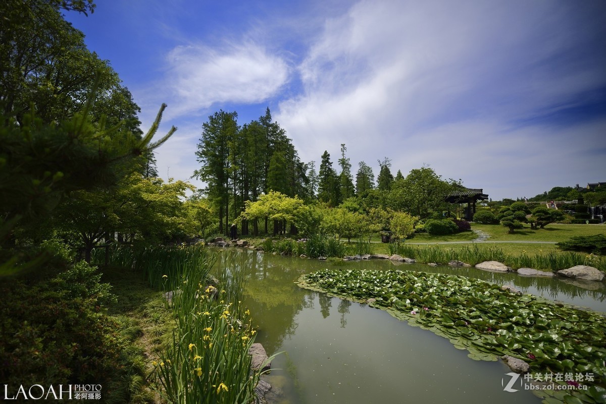 扬州瘦西湖速写——销假帖