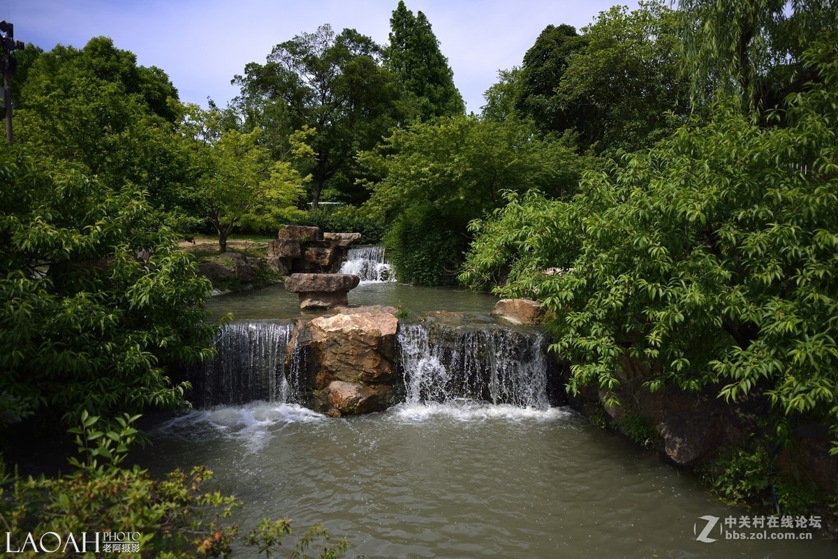 扬州瘦西湖速写——销假帖