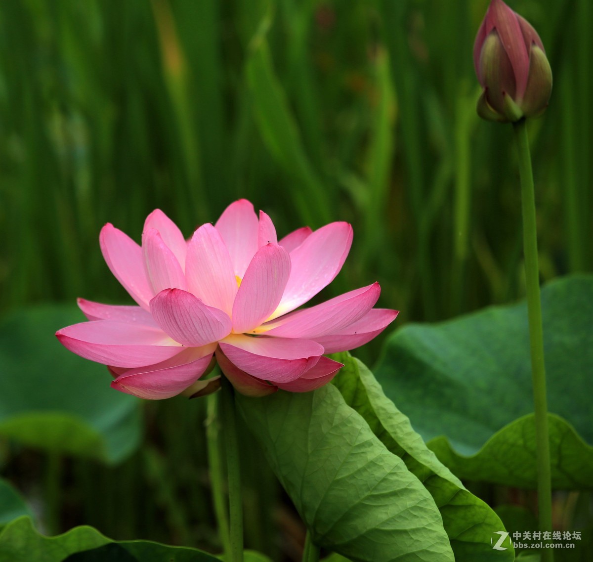 为家乡星空(中国)尽微薄之力吧。
