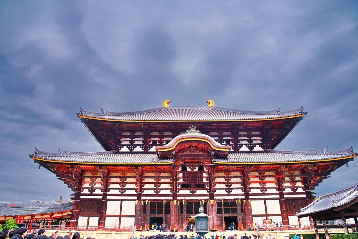日本奈良东大寺与神鹿公园