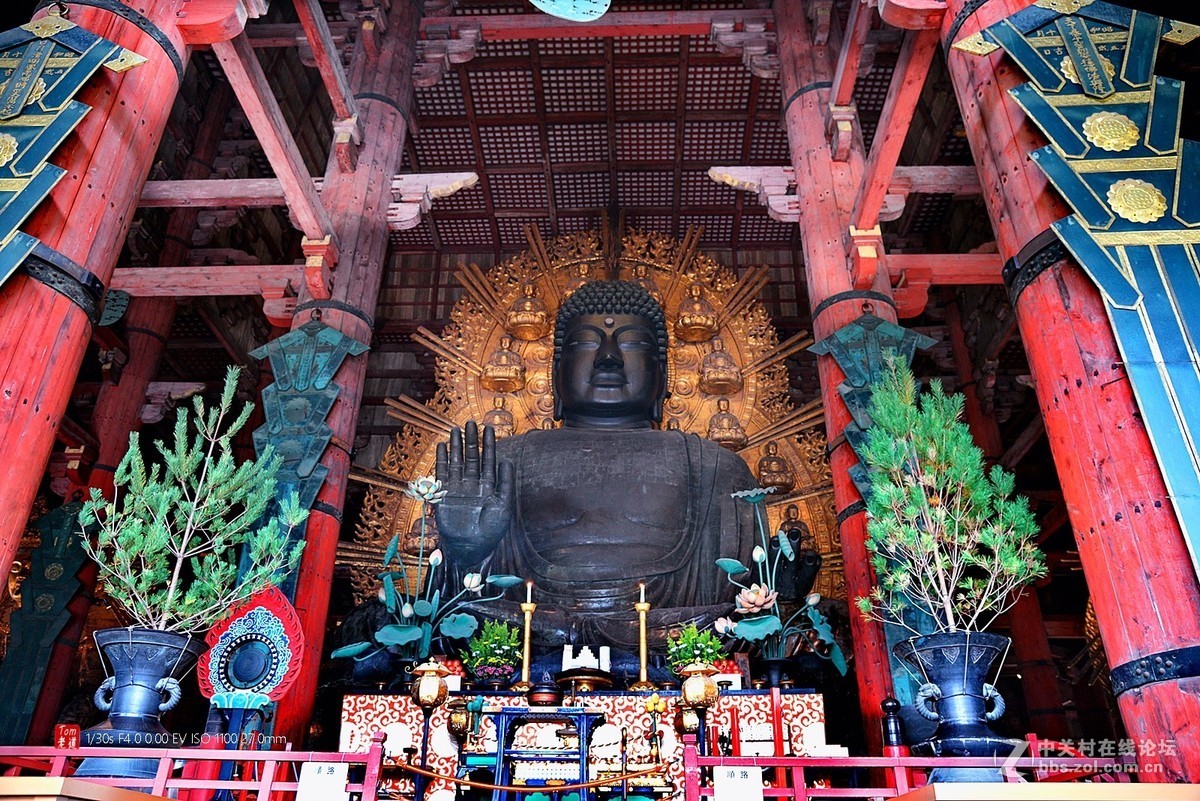 日本奈良东大寺与神鹿公园