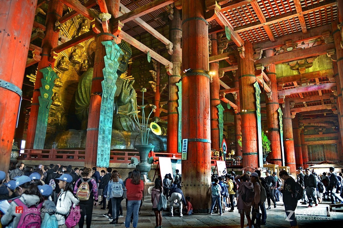 日本奈良东大寺与神鹿公园