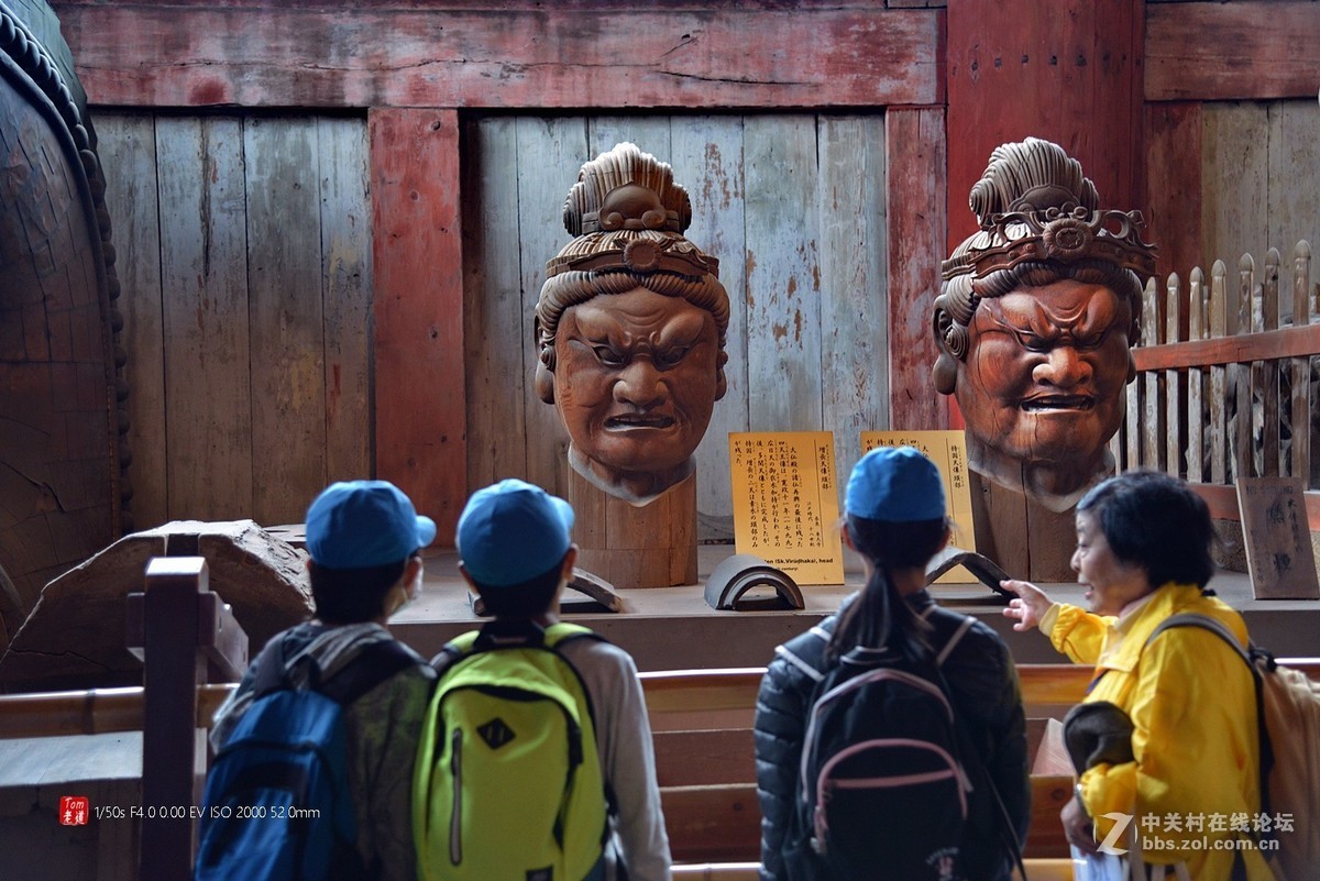 日本奈良东大寺与神鹿公园