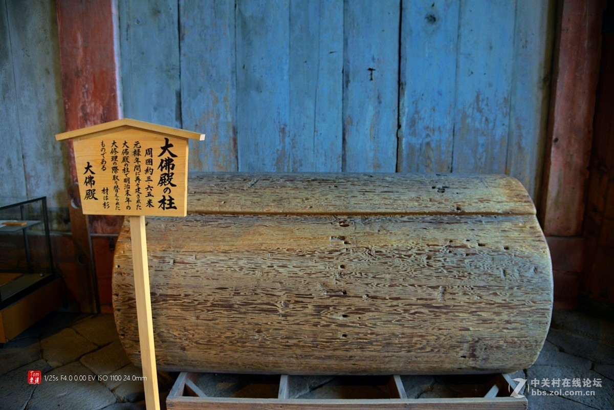 日本奈良东大寺与神鹿公园