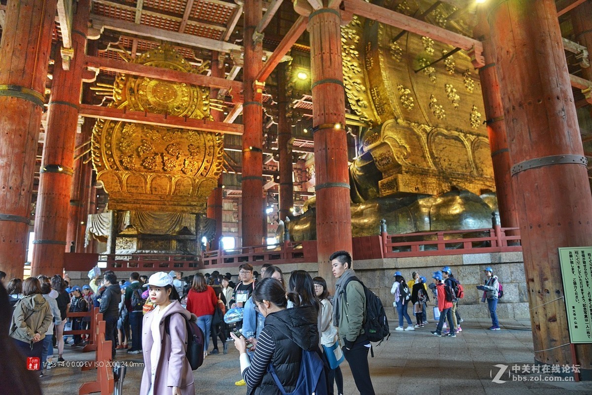 日本奈良东大寺与神鹿公园