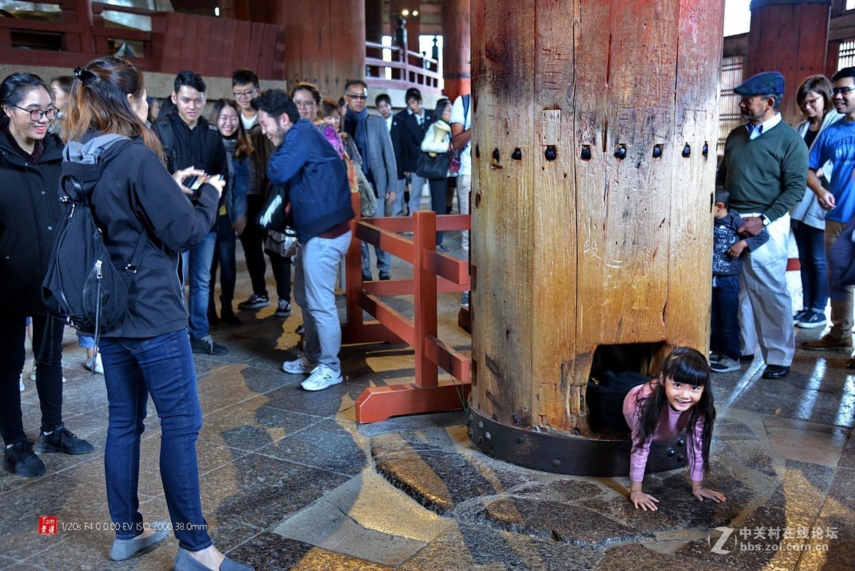 日本奈良东大寺与神鹿公园