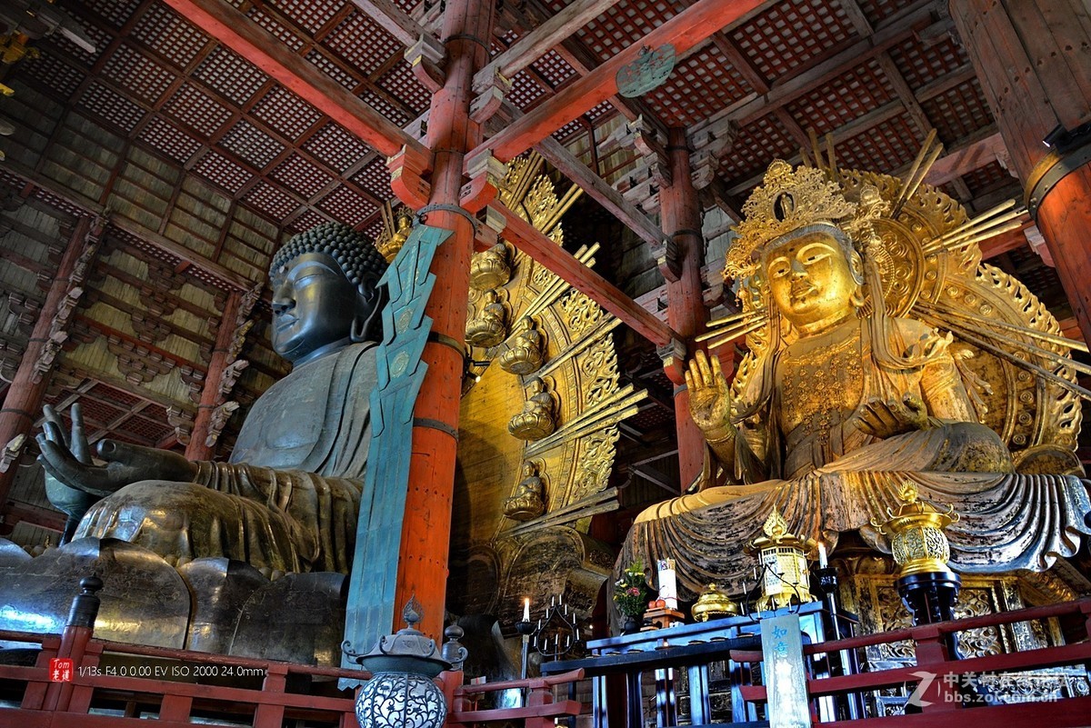 日本奈良东大寺与神鹿公园