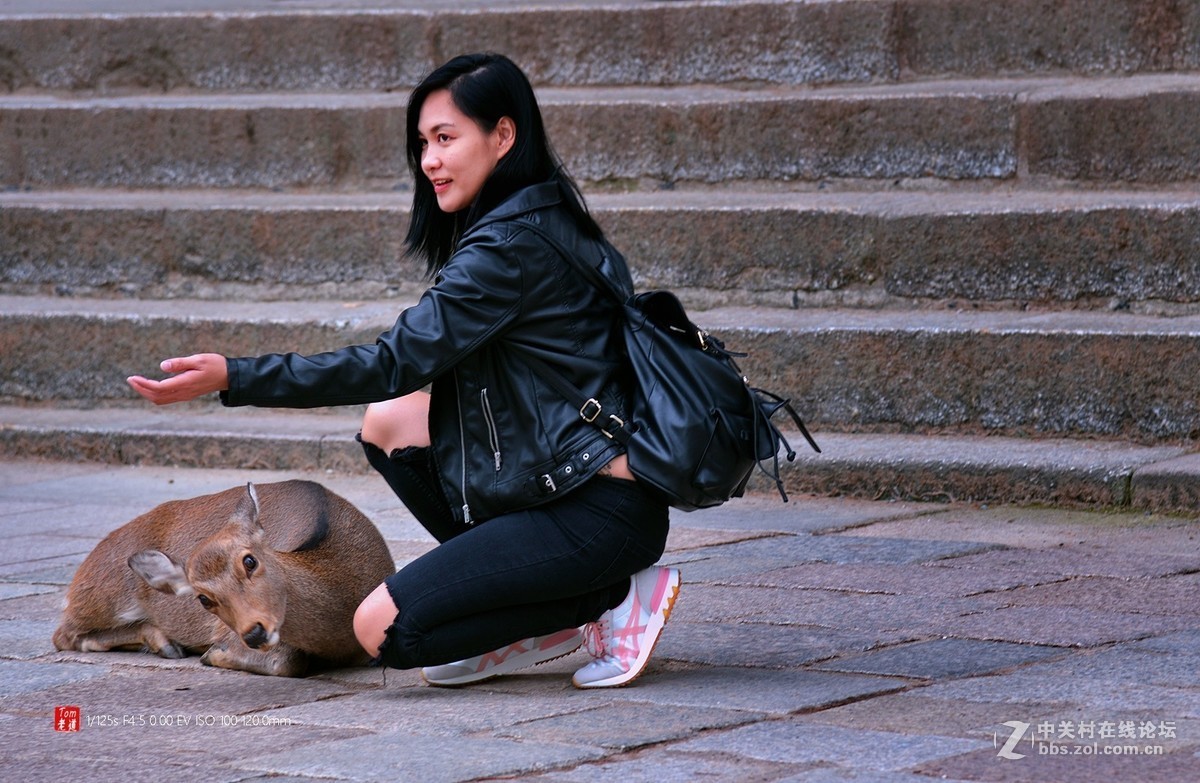 日本奈良东大寺与神鹿公园