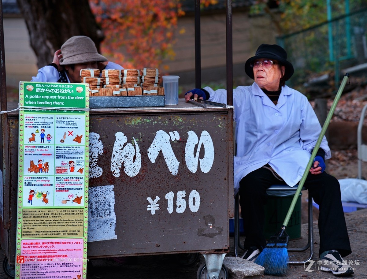 日本奈良东大寺与神鹿公园